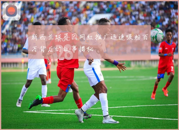 新西兰球员因网红推广迅速吸粉百万背后的故事揭秘
